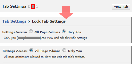 Lock Admin Access to Custom Tabs