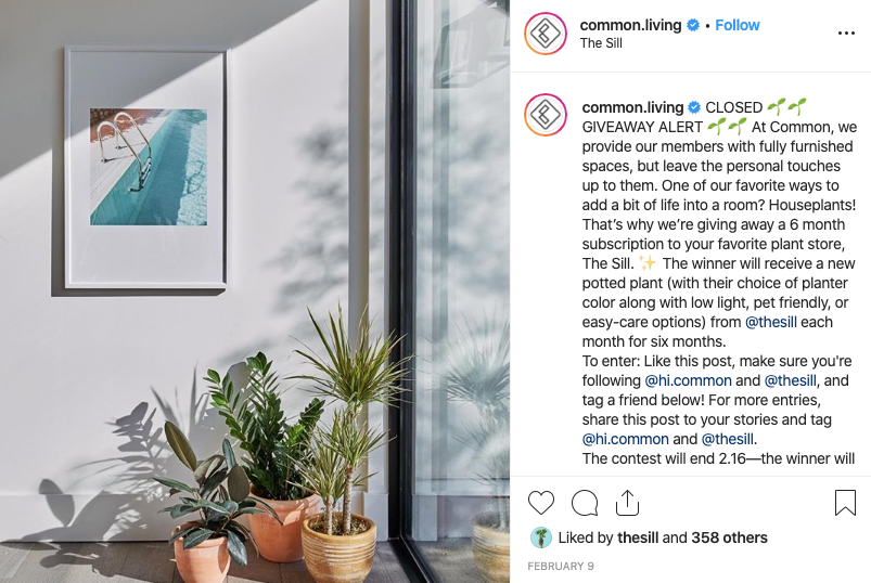 Giveaway Example Instagram Marketing