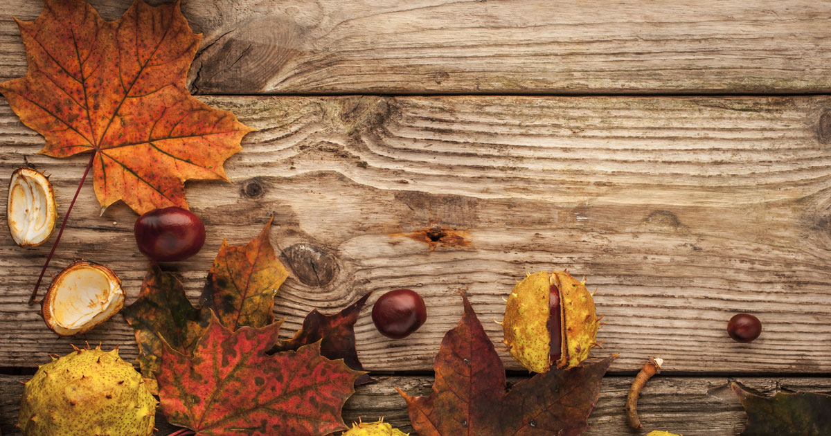 5 Ways for Retailers to Boost Customer Loyalty This Fall