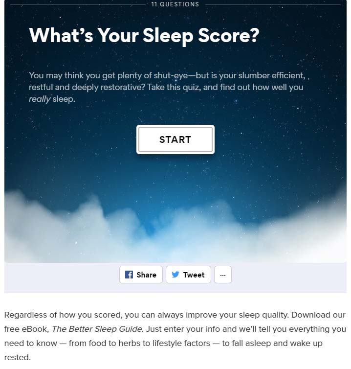 best quiz ideas examples