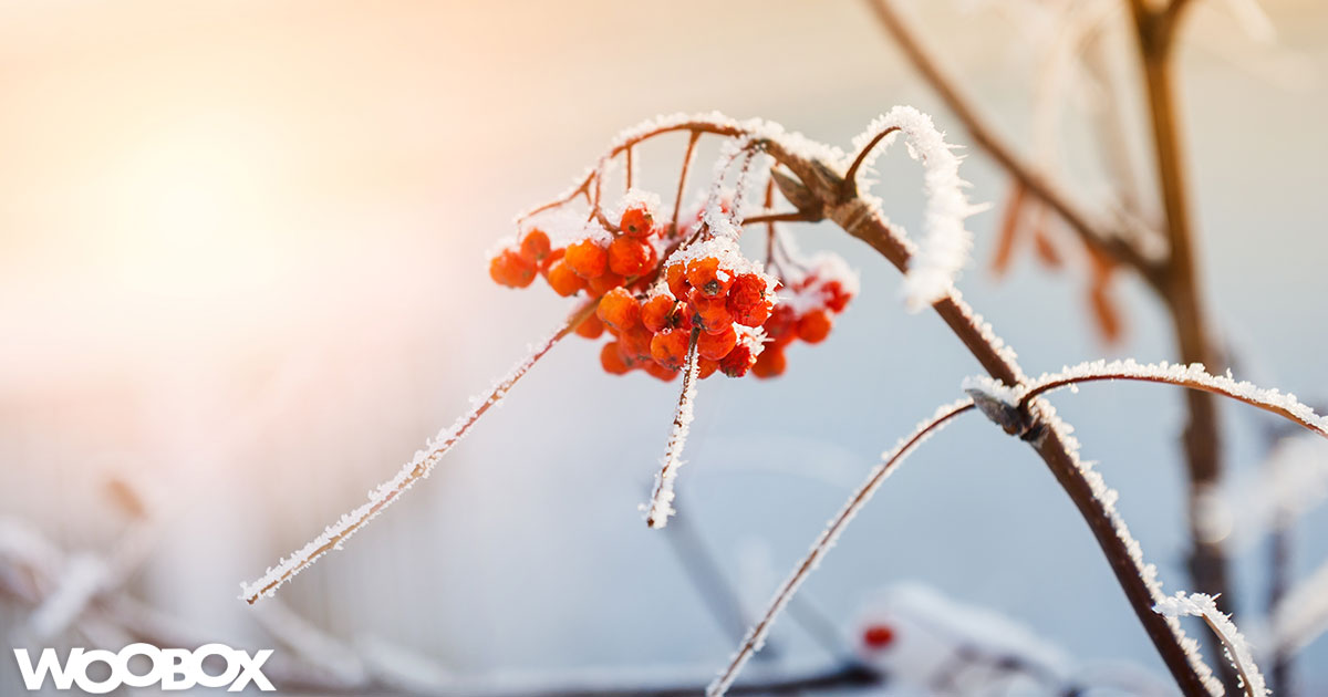 A Comprehensive January 2018 Holiday & Hashtag Guide