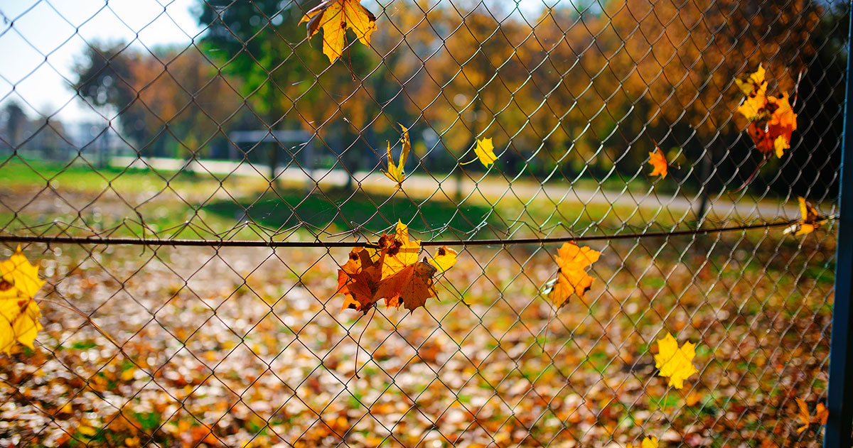 A Comprehensive November Holiday & Hashtag Guide