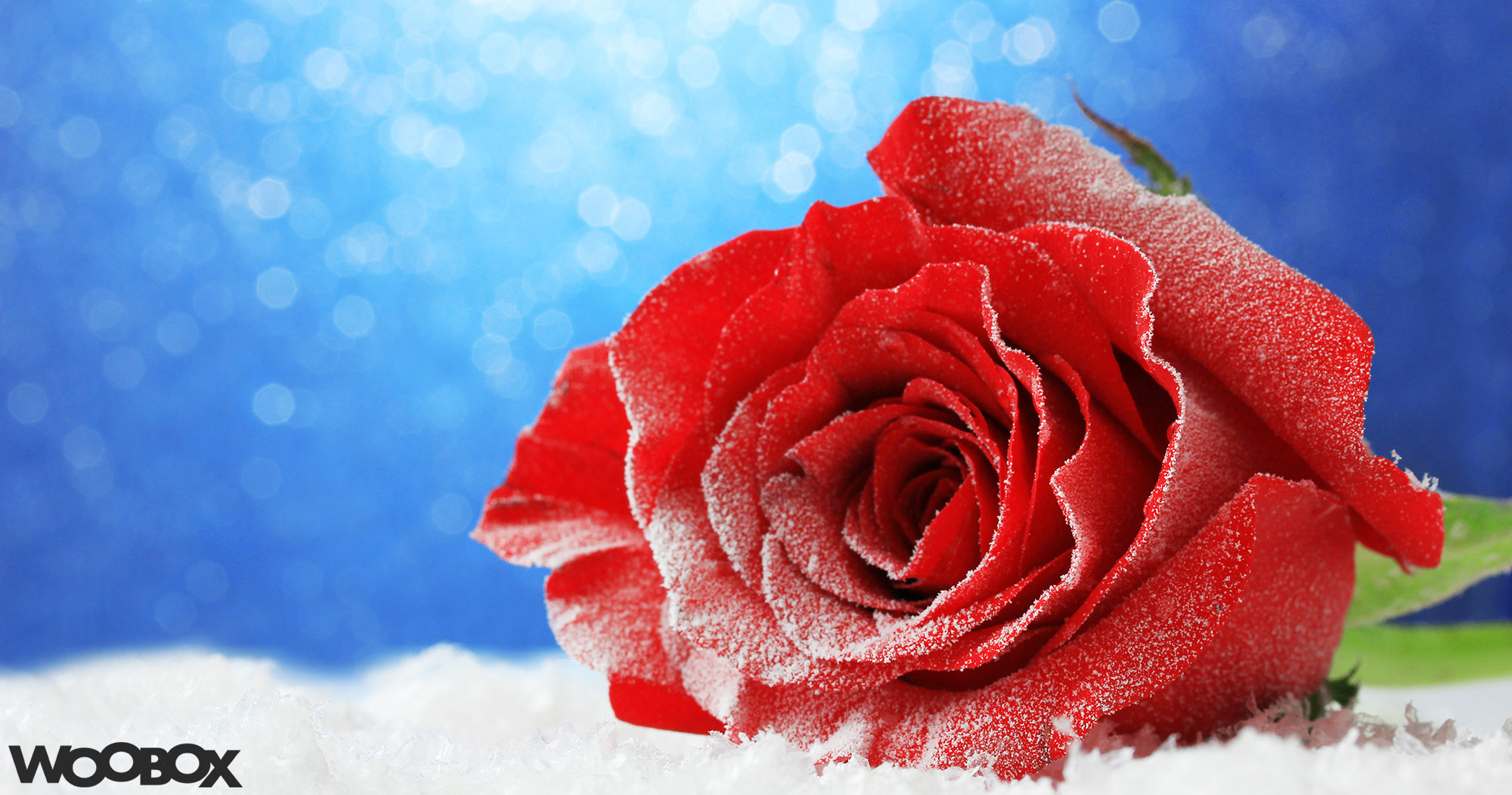 A Comprehensive February 2018 Holiday & Hashtag Guide