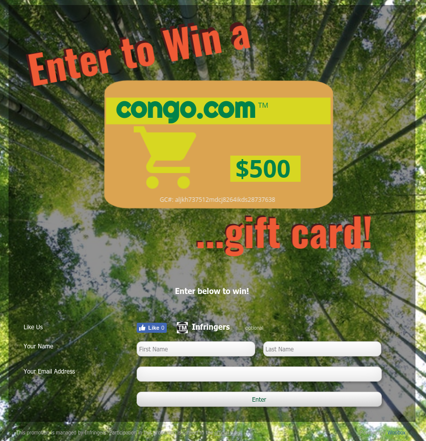 Example Sweepstakes