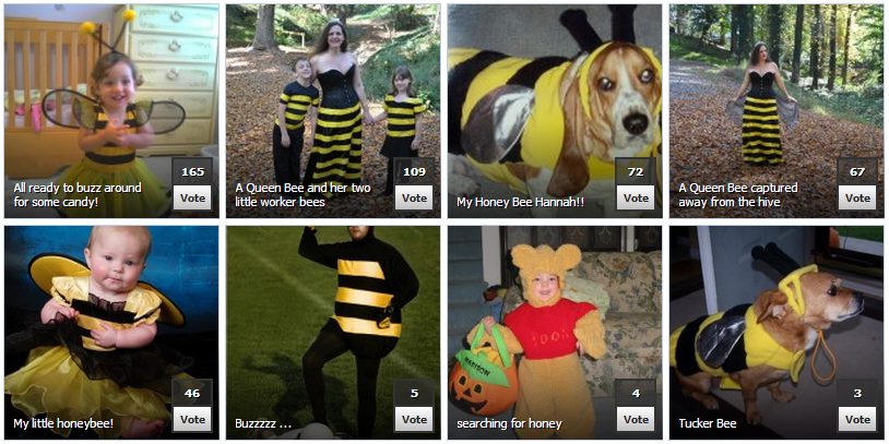 Sue Bee Photo Page