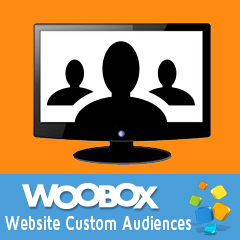 Target Promoted Posts to Web Visitors with Website Remarketing